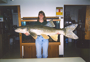Record photograph for Ptychocheilus lucius